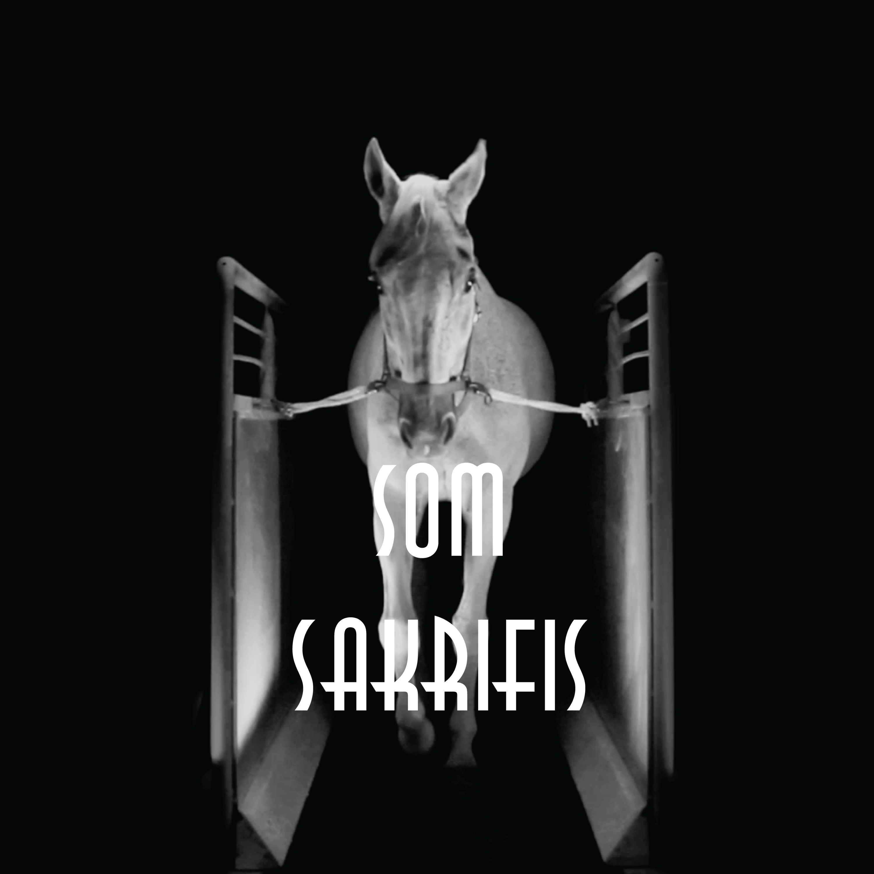 MMMD – Som Sakrifis