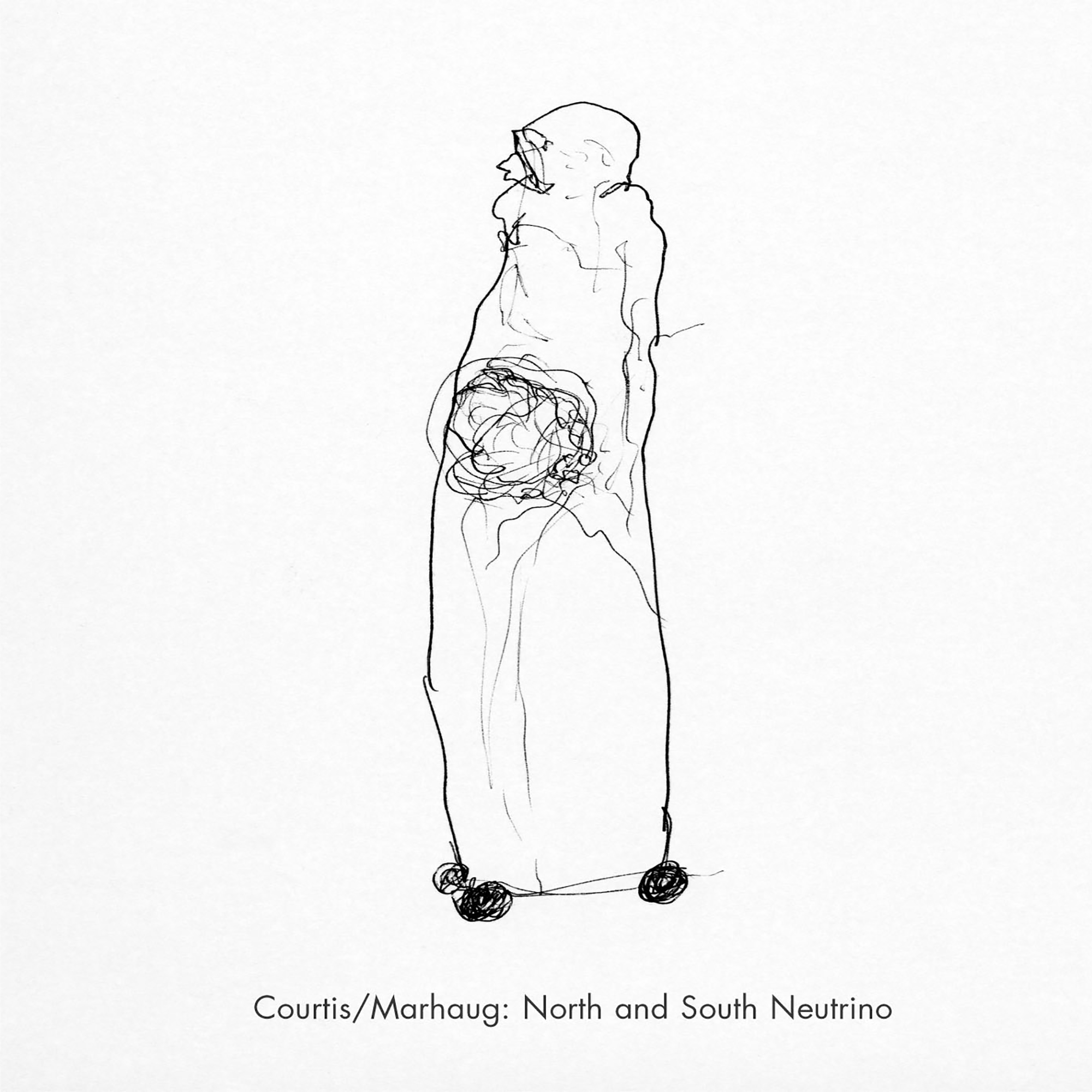 Lasse Marhaug / Anla Courtis – North & South Neutrino